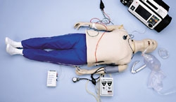Life Form Complete Adult Crisis Manikin